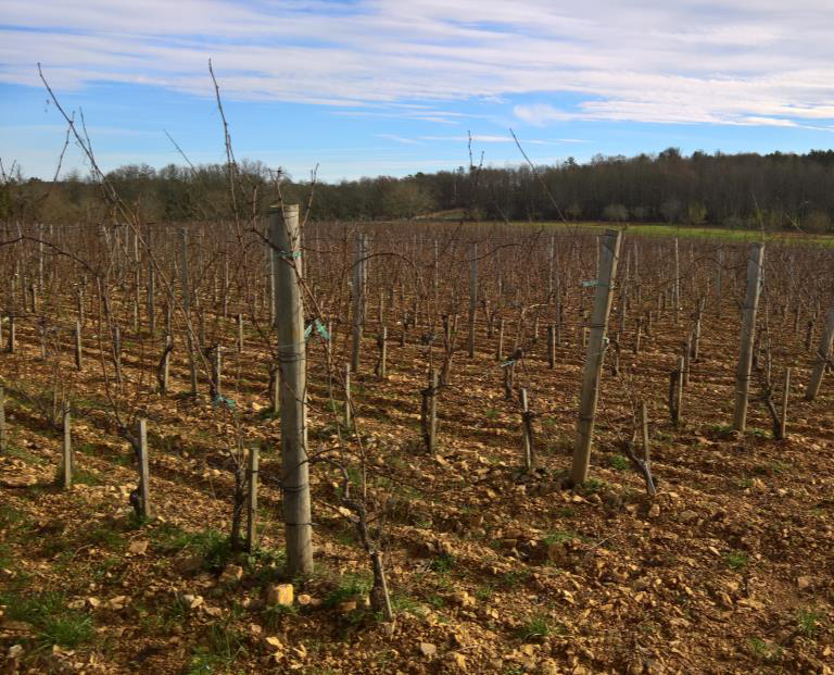 BORIE シャトーラボリー IGP・ペリゴール '15 2本 BORIE シャトーラボリー IGP・ペリゴール '15 2本 BORIE